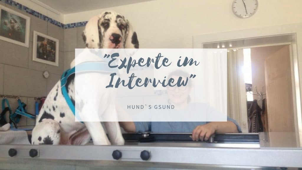 Im Interview Eine Tierphysiotherapeutin mit großem Herz View of my Life
